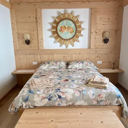 Nigritella Lägenhet Pieve di Cadore