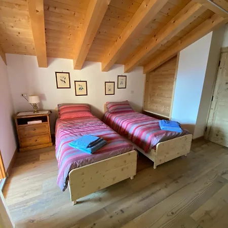 Nigritella Pieve di Cadore